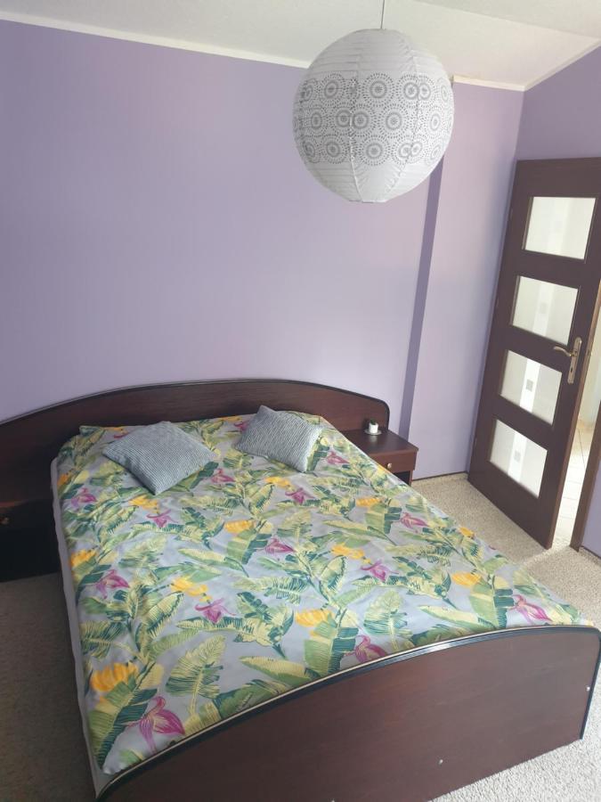Apartament Pod Sosnami 1 Noclegi Otw Borowno Wlk Skarszewy Buitenkant foto